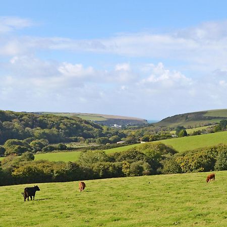 Merlin View St Mawgan Экстерьер фото