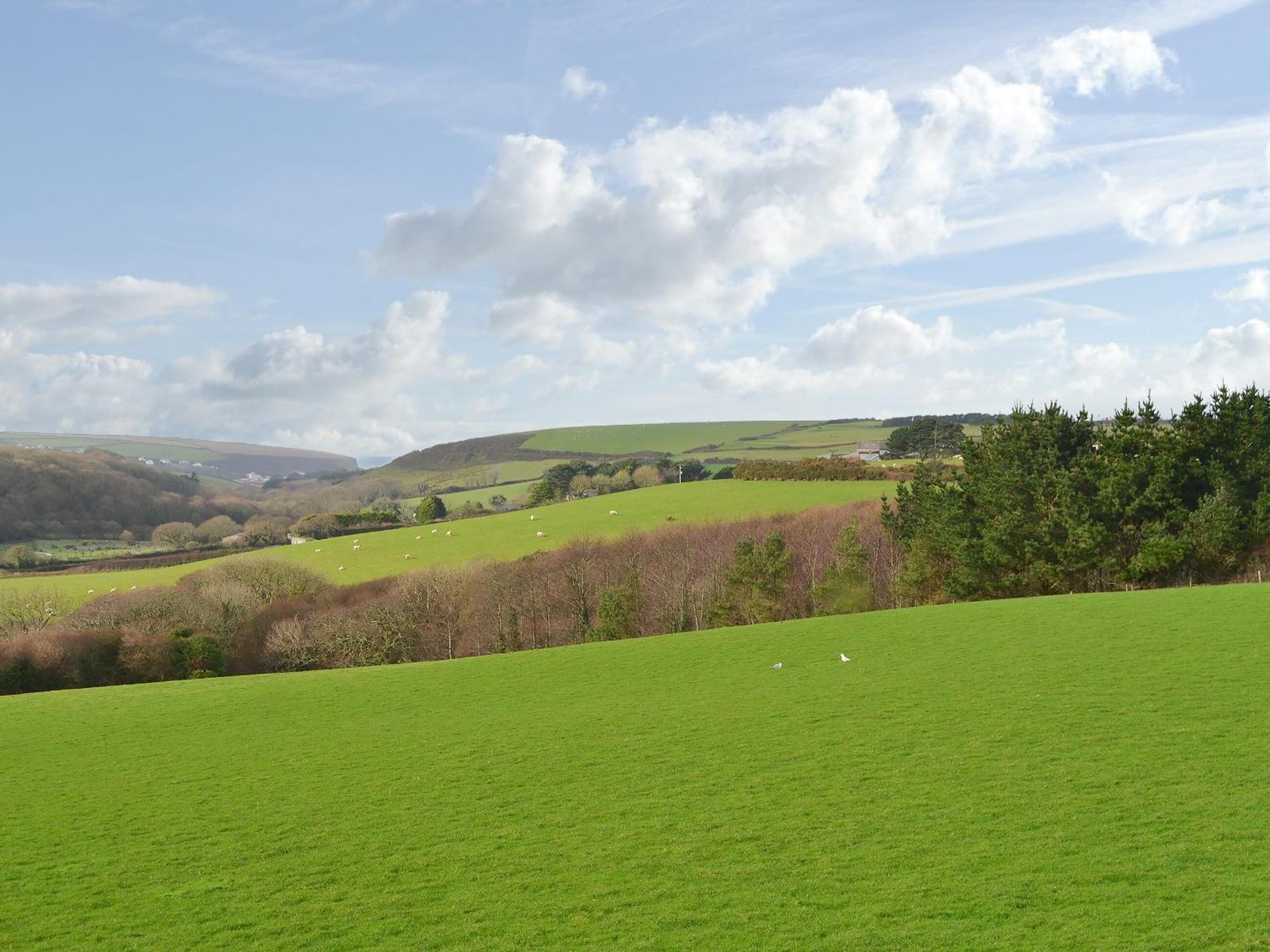 Merlin View St Mawgan Экстерьер фото