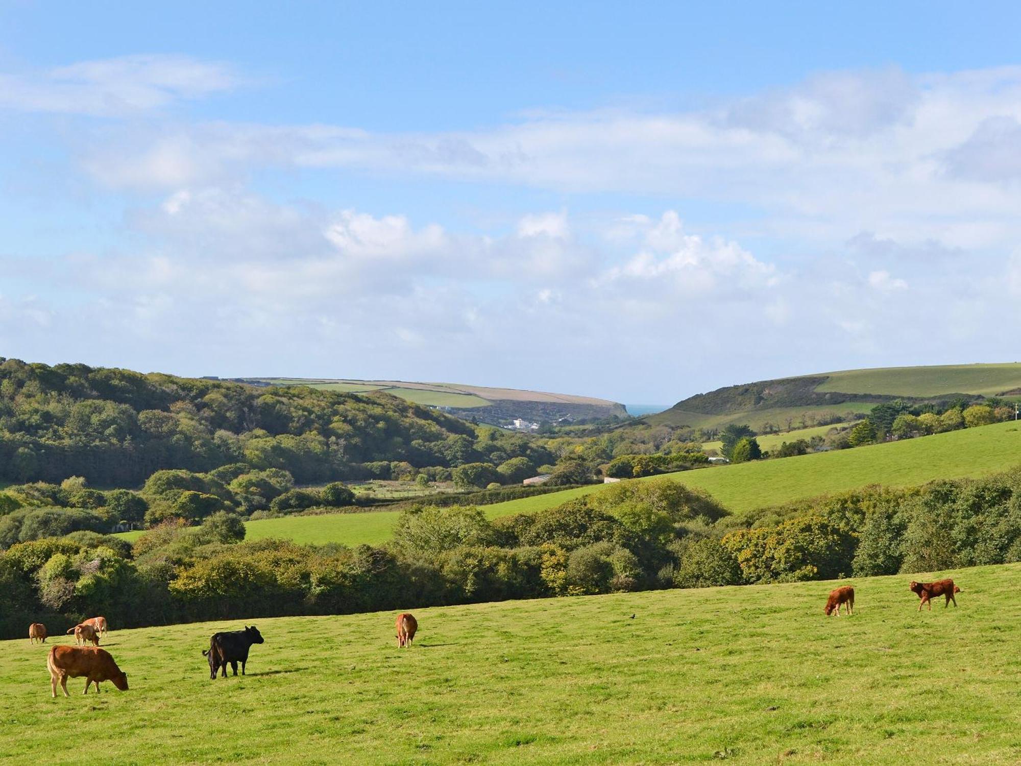 Merlin View St Mawgan Экстерьер фото